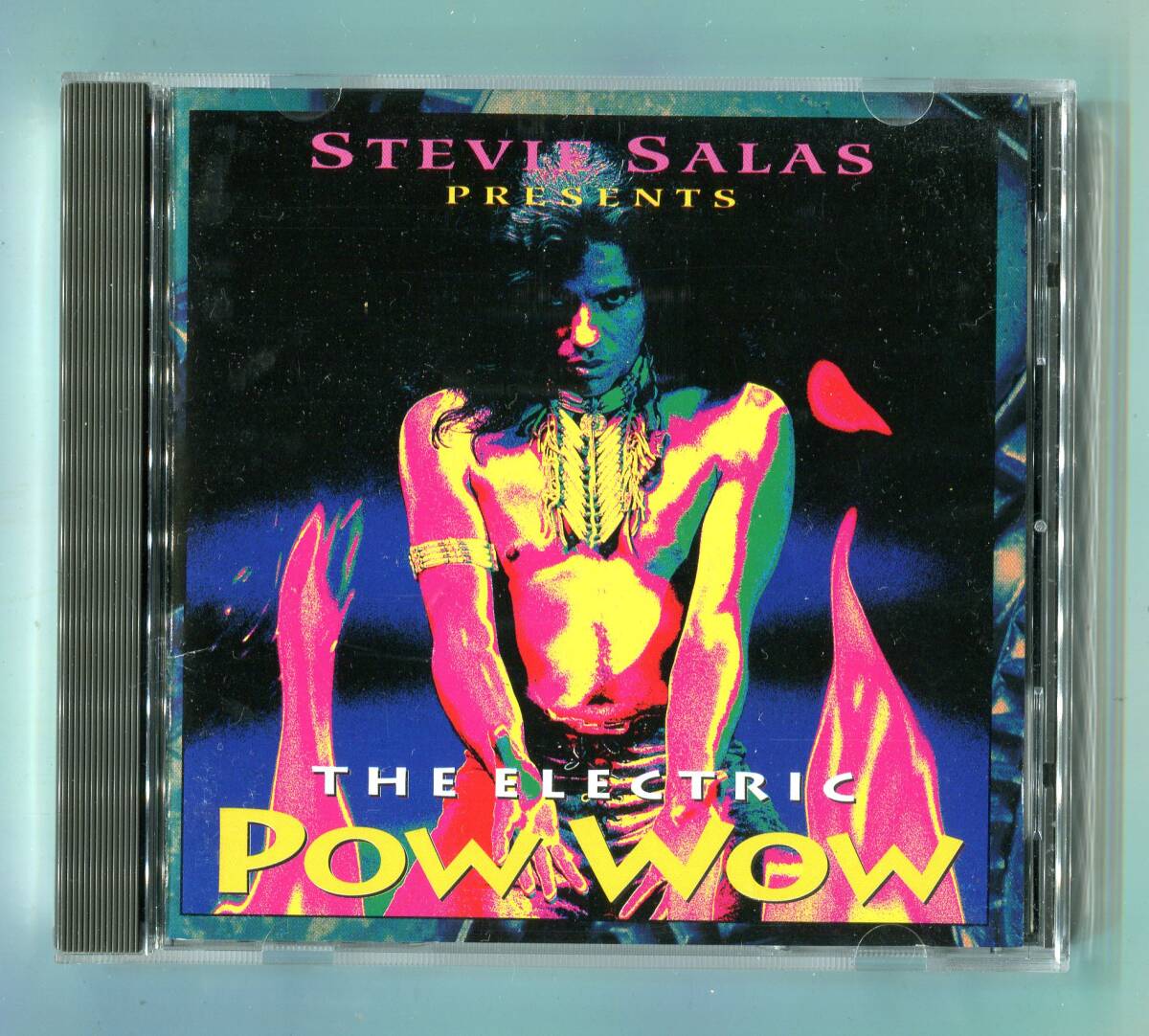 Stevie Salas スティーヴィー・サラス The Electric Pow Wow エレクトリック・パウワウ 日本盤 廃盤 INABA / SALAS拍卖