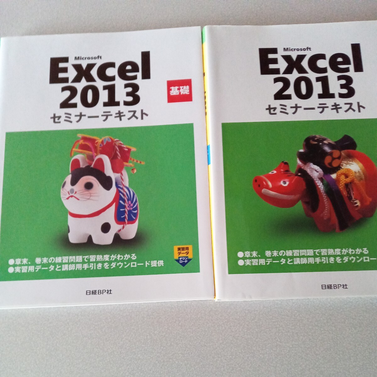 Microsoft Excel 2013 基礎応用 セミナーテキスト/日経BP社(著者)拍卖
