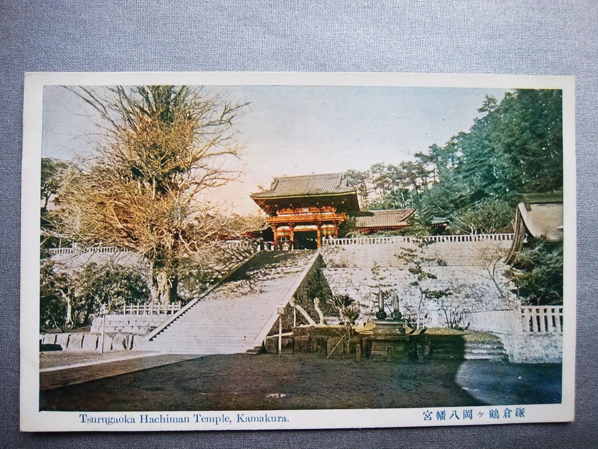 絵葉書 複製 光村出版部 神奈川 鎌倉 鶴ヶ岡八幡宮 カラー拍卖