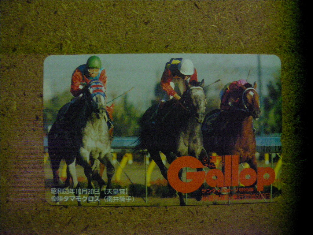 I1111A・タマモクロス Gallop ギャロップ 抽プレ 競馬 未使用 50度数 テレカ拍卖