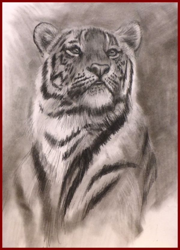 ☆☆☆原画 木炭 貫禄の風貌  「シベリアンタイガー」拍卖