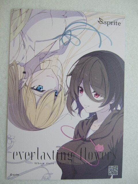 メロンブックス 限定 everlasting flowers (evers) ポストカード 240608 特典 Melonbooks 非売 イラストカード sprite Nintendo Switch PS4拍卖