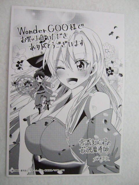 ワンダーグー 限定 常識知らずの最強魔導師 2巻 ポストカード 240626 特典 WonderGOO 非売品 イラストカード イラストペーパー 蒼月浩二拍卖