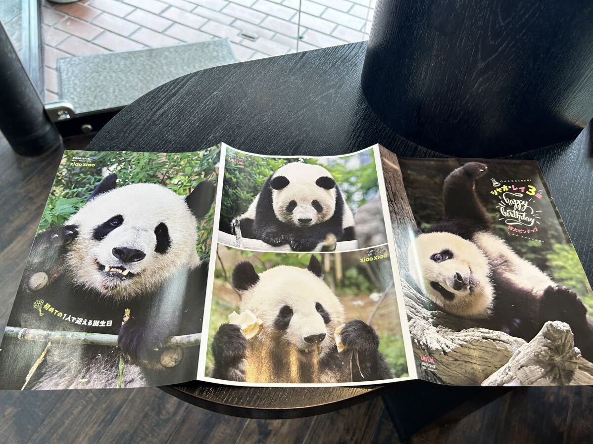 女性自身付録 シャオシャオ レイレイ 3歳 特大ピンナップ バースデー パンダ拍卖