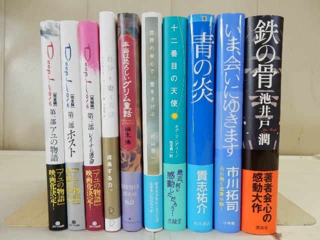 文庫本 いろいろ10冊セット【 Deep Love 第1~3部・鉄の骨・青の炎・本当は恐ろしいグリム童話・十二番目の天使 他 】中古 ワイド版拍卖