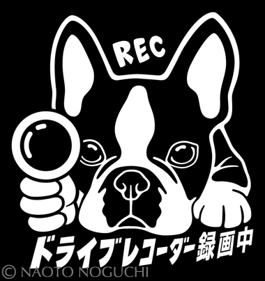 オリジナル ステッカー シール DOG IN CAR ドライブレコーダー 録画中 ボストンテリア E6拍卖