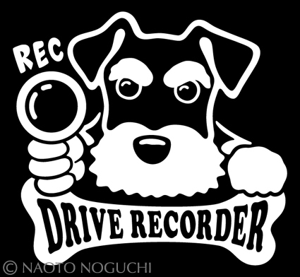 オリジナル ステッカー シール ミニチュア シュナウザー DOG IN CAR ドライブレコーダー 録画中 ミニチュアシュナウザー D4拍卖