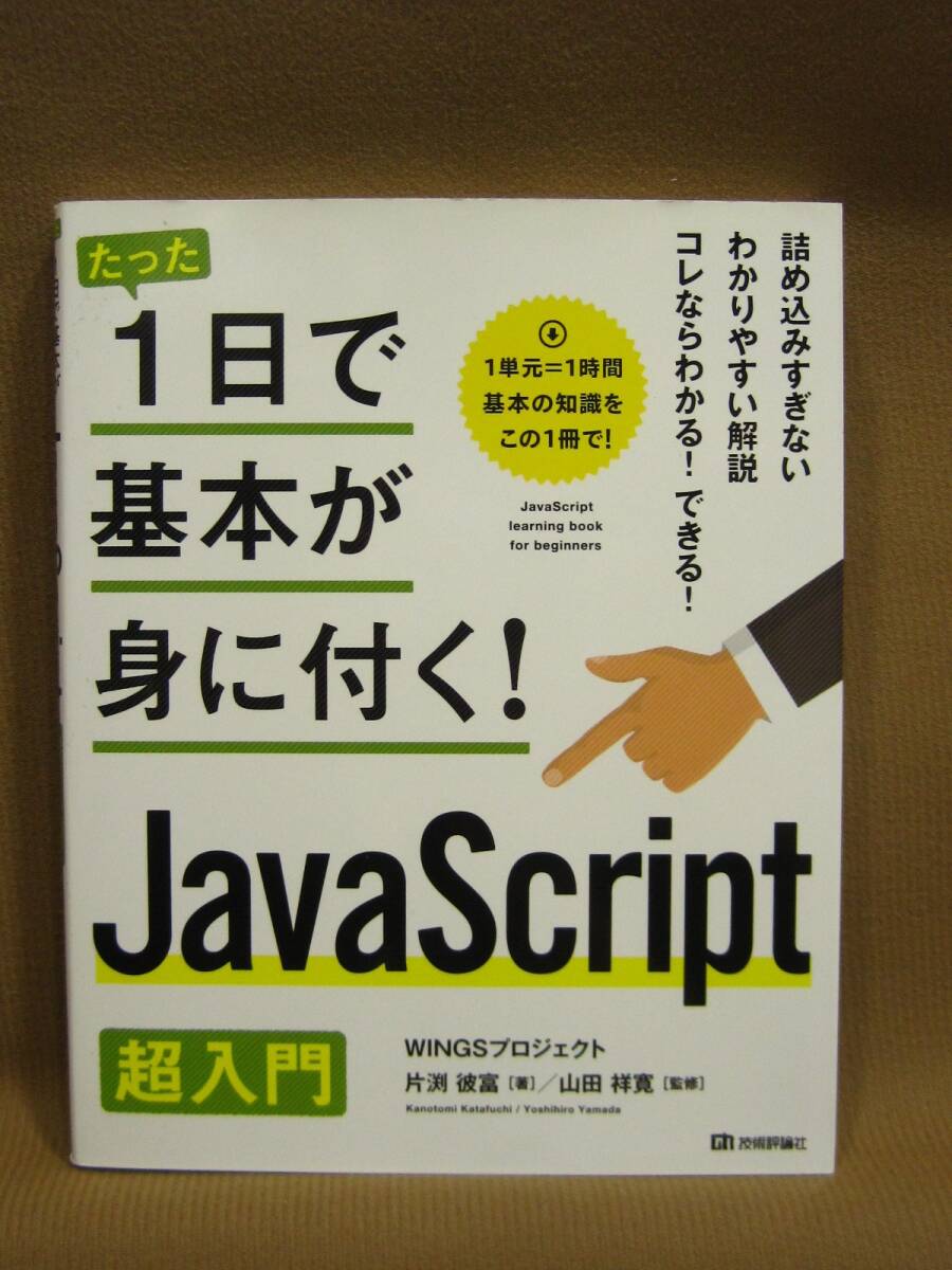 B1-052◇即決 中古本 たった1日で基本が身につく! Java Script 超入門 技術評論社拍卖
