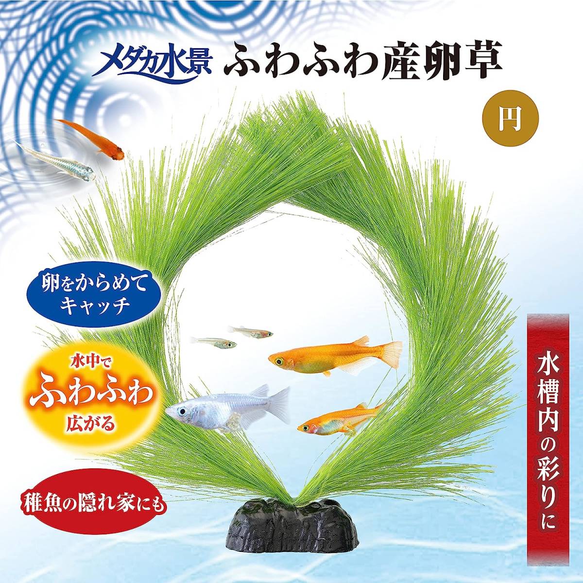 ・送料無料  GEX ジェックス メダカ水景 ふわふわ産卵草  円 拍卖