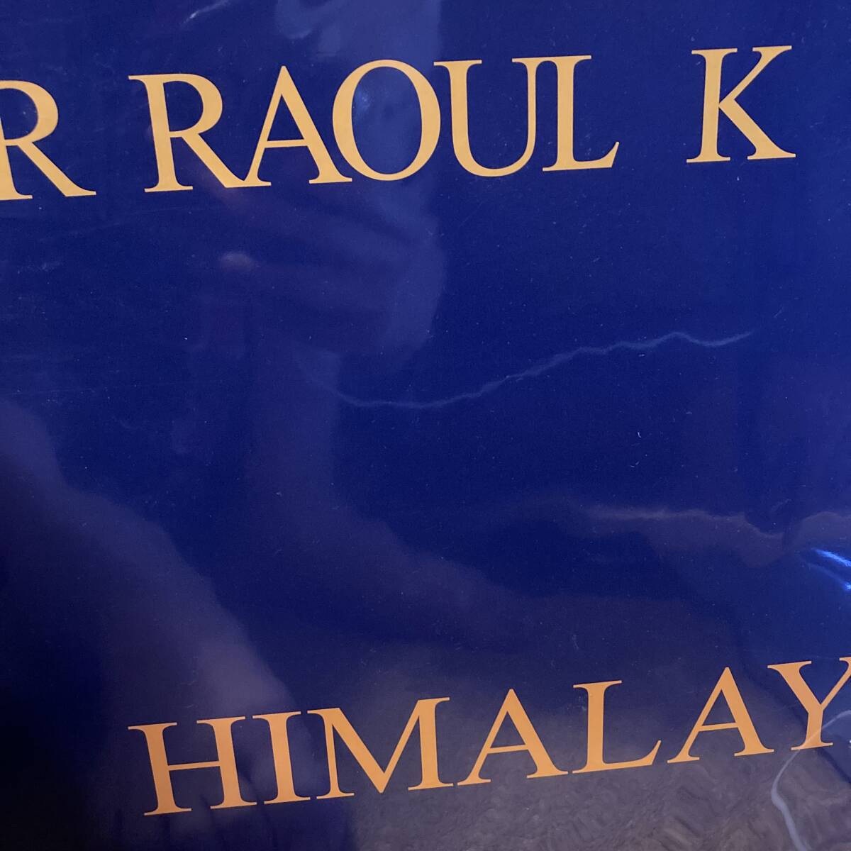 Mr Raoul K / Himalaya拍卖