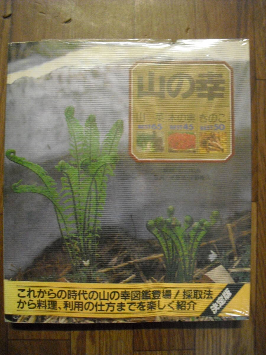 山の幸 山菜 木の実 きのこ 山口昭彦他 1984年4刷 山と渓谷社拍卖