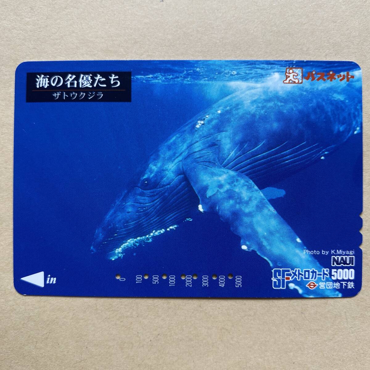 【使用済】 パスネット 営団地下鉄 東京メトロ 海の名優たち ザトウクジラ拍卖