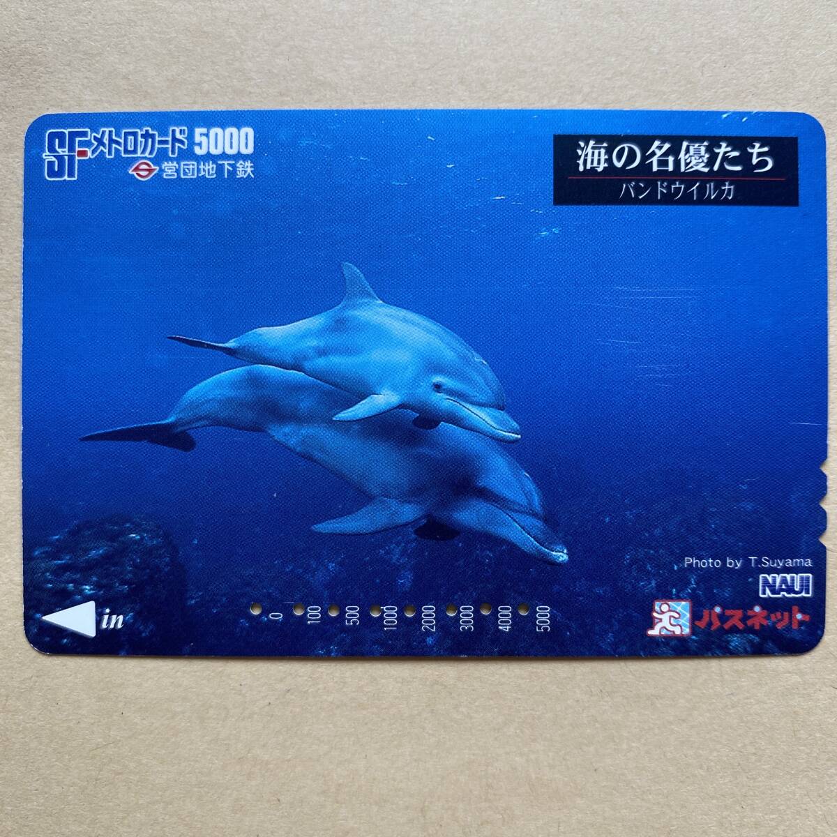 【使用済】 パスネット 営団地下鉄 東京メトロ 海の名優たち バンドウイルカ拍卖