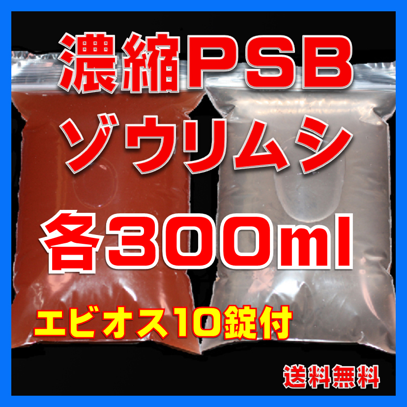 ★送料無料★室内管理濃縮PSB300ml+PSBで培養したゾウリム種水300ml+エビオス10錠+各培養説明付き拍卖