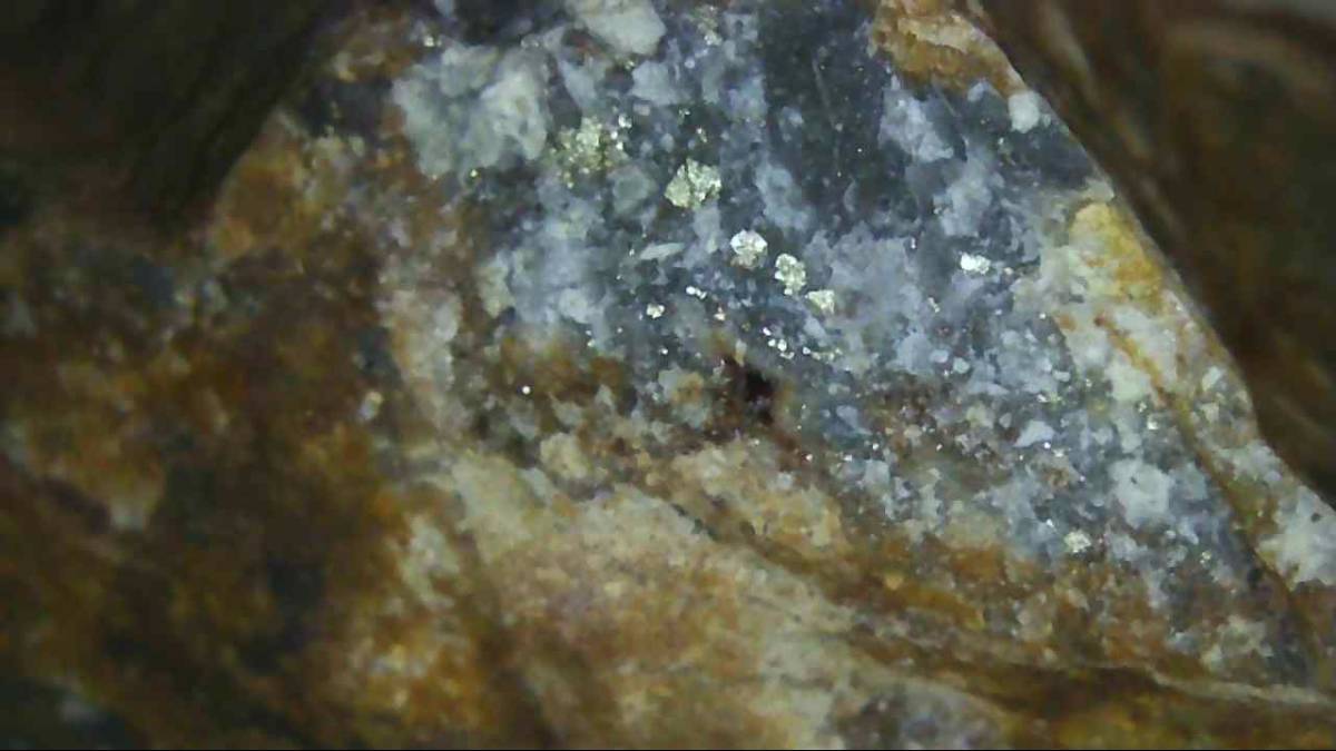 静岡県伊豆半島産【自然金?黄鉄鉱?黄銅鉱?】拍卖