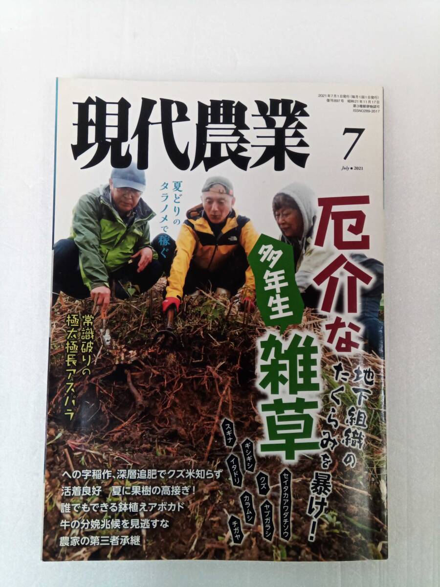 現代農業 2021年 7月号 厄介な多年生雑草 地下組織のたくらみを暴け! 常識破りの極太極長アスパラ 農山漁村文化協会 240627拍卖