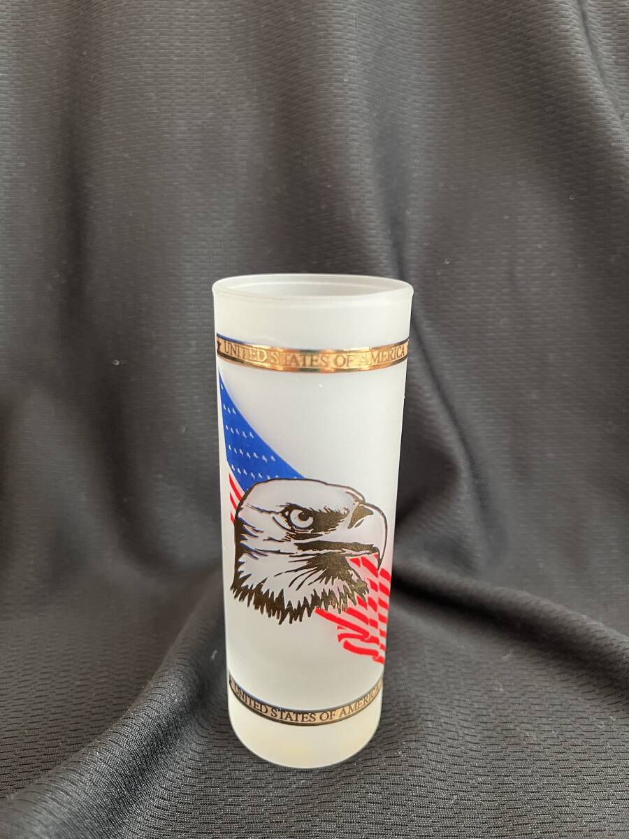 レア UNITED STATES OF AMERICA 鷲(eagle)イーグルワンショットグラス拍卖