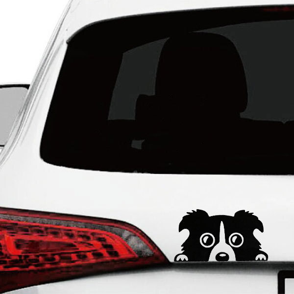 犬 ボーダーコリー シール デカール ステッカー テープ カッティングシート 車 おしゃれ ドレスアップ 傷隠し ブラック 送料無料拍卖