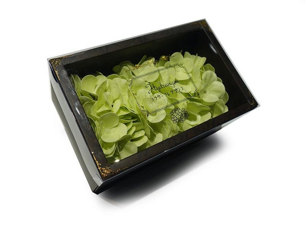 バスフレグランス アジサイ【ライトグリーン】あじさい 紫陽花 花の形の入浴剤 Q-FLA フラワーフレグランス バスフラワー拍卖