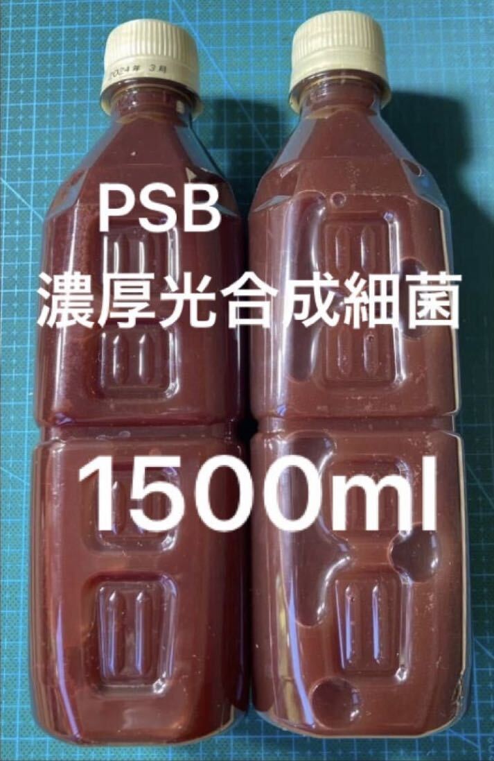 光合成細菌 PSB 約1500ml拍卖