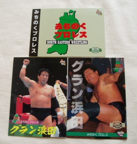 グラン浜田 3枚セット◆BBM みちのくプロレス UWA ルチャリブレ RE拍卖