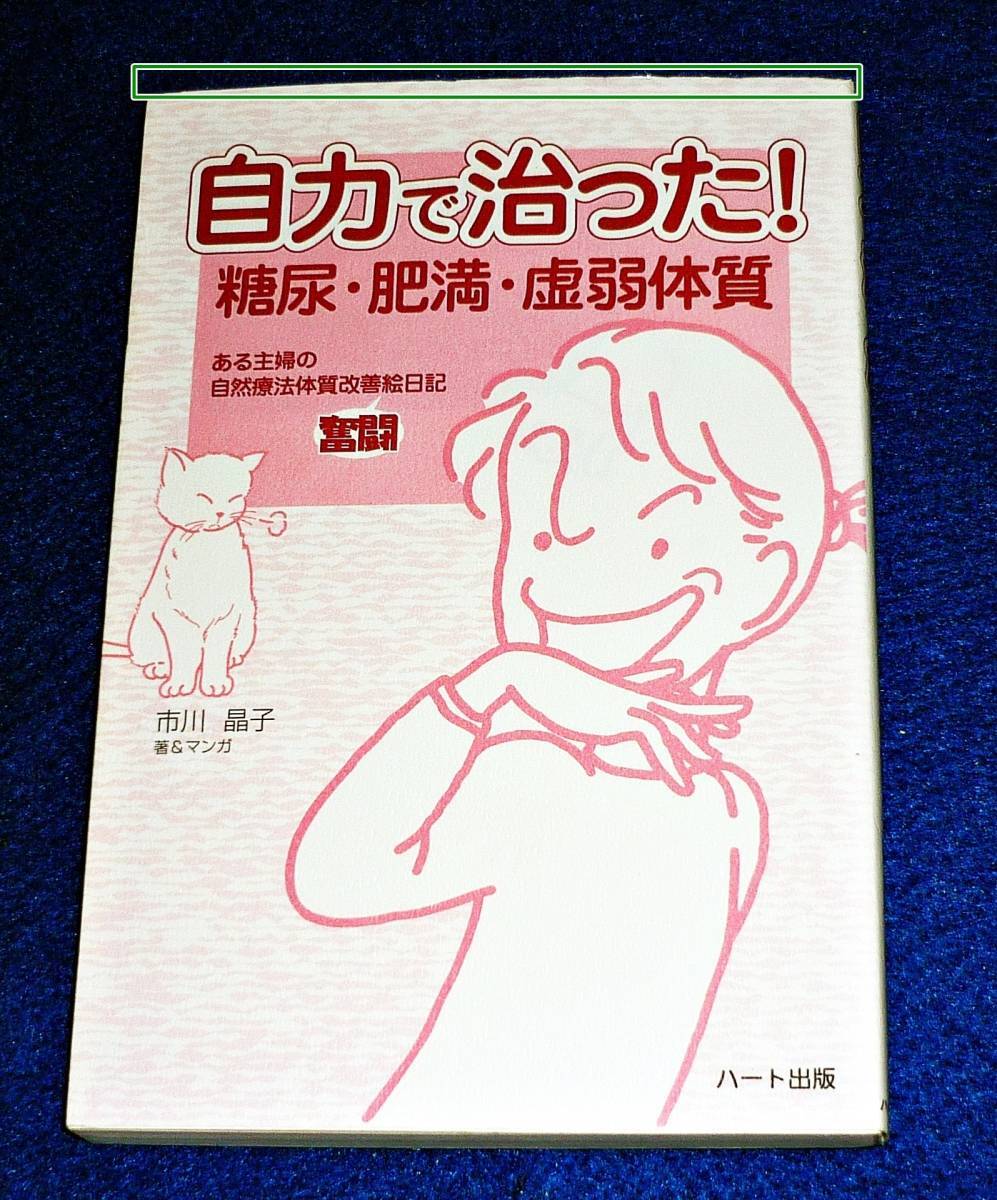 自力で治った!糖尿・肥満・虚弱体質―ある主婦の自然療法体質改善奮闘絵日記 ●★市川 晶子 (著) 【Z-7】拍卖
