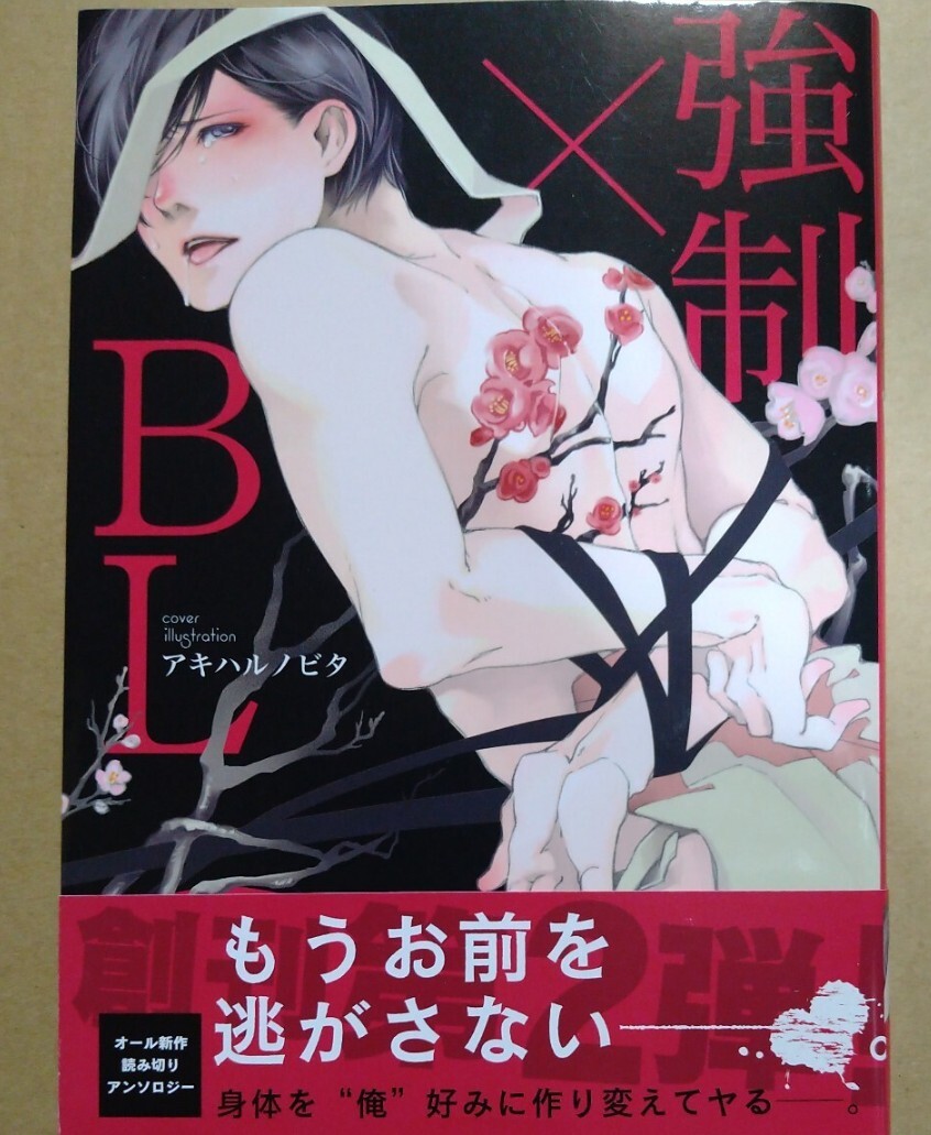 桐式トキコイラスト入り直筆サイン本 「強制BL」読み切りアンソロジー 特典付き拍卖