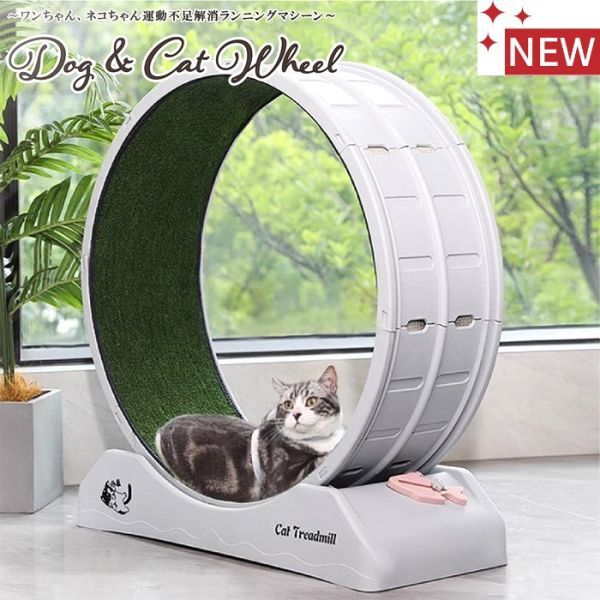 新品★猫ちゃん・ワンちゃん/回転ホイール/人工芝ランニングマシン★後藤家具【小型ペットのストレス解消・ダイエット運動に】拍卖