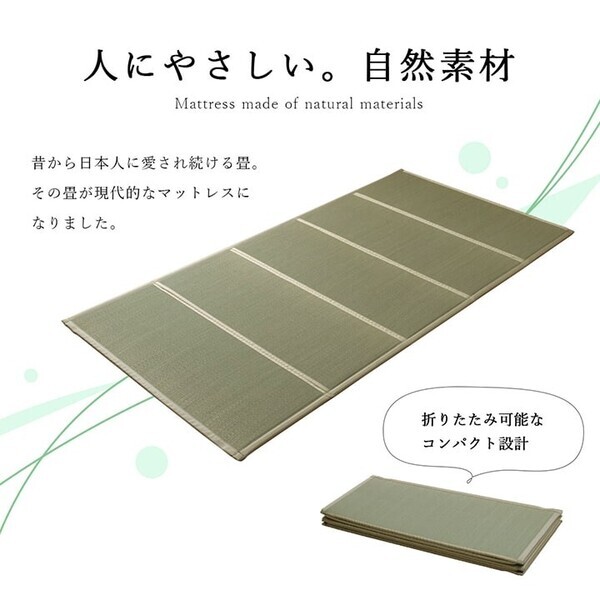 い草 約100×200cm ユニット 畳 軽量 抗菌防臭 消臭 防音 断熱性 お手入れ 簡単 畳マットレス拍卖