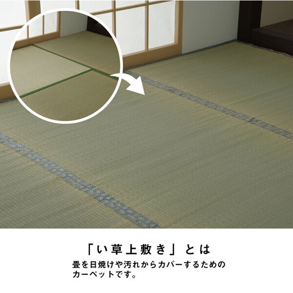 カーペット い草 上敷き カーペット 江戸間3畳(約176×261cm) 制菌 抗菌防臭 消臭 小林製薬KOBA-GUARD コバガード上敷拍卖
