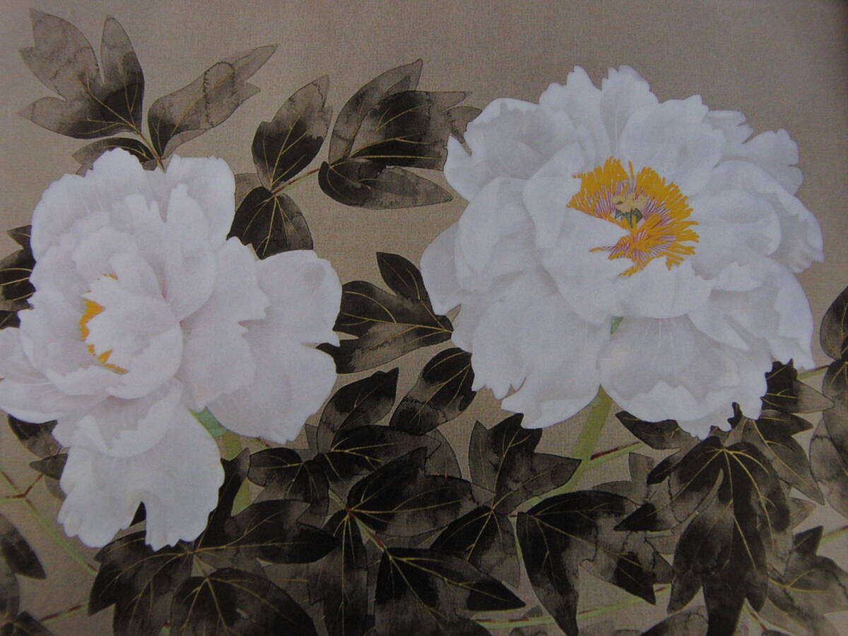 中島千波、「白牡丹」、希少画集・額装画、日本製・新品額縁にて額装致します、状態良好、日本人画家拍卖