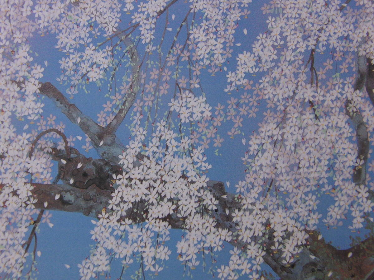 中島千波、「北信濃  坪井の枝垂桜」、希少画集・額装画、日本製・新品額縁にて額装致します、状態良好、日本人画家拍卖