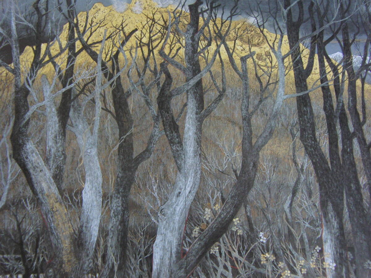 大矢紀、「煌」、希少画集・額装画、日本製・新品額縁にて額装致します、状態良好、日本人画家拍卖