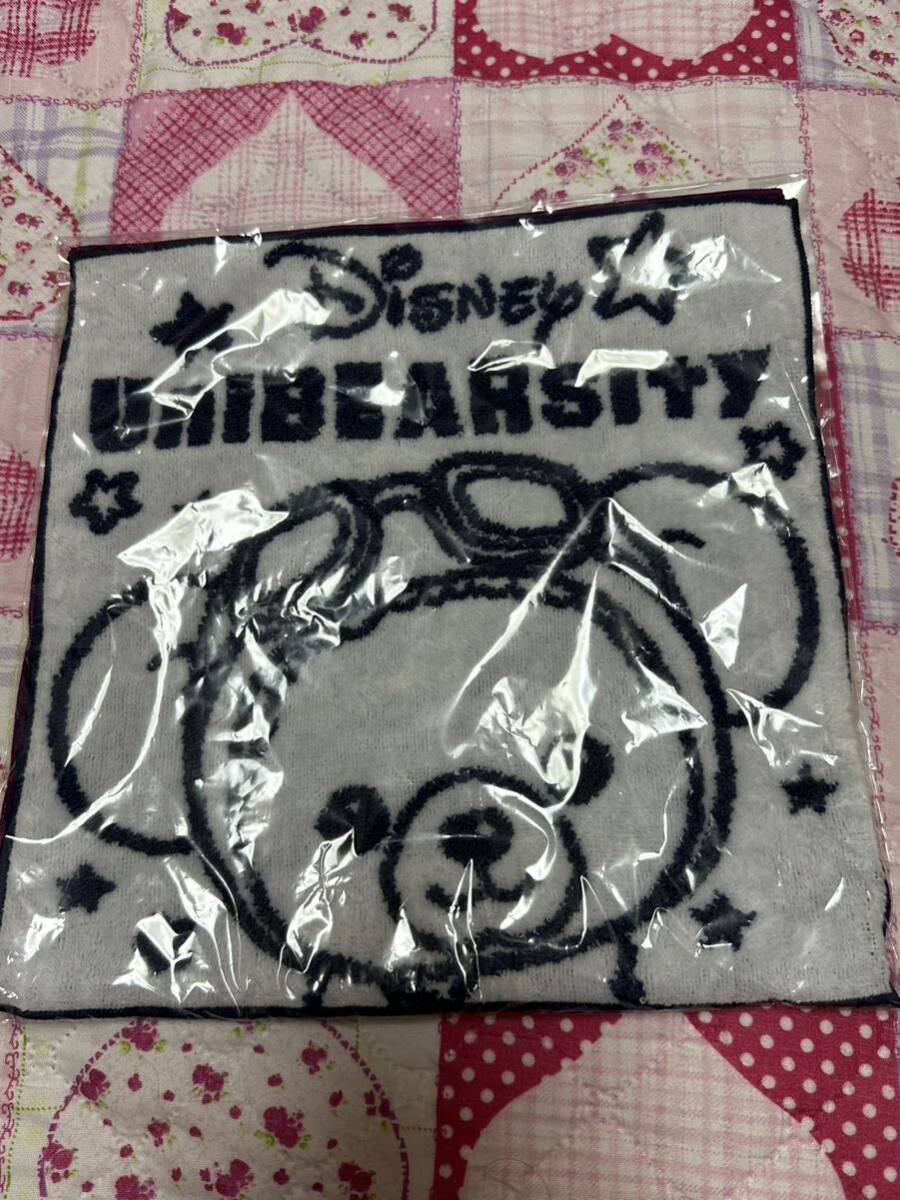 ディズニーストア ユニベアシティ ハンドタオル 2枚セット 未使用 ミッキー ミニー ドナルド デイジー プリンセス拍卖