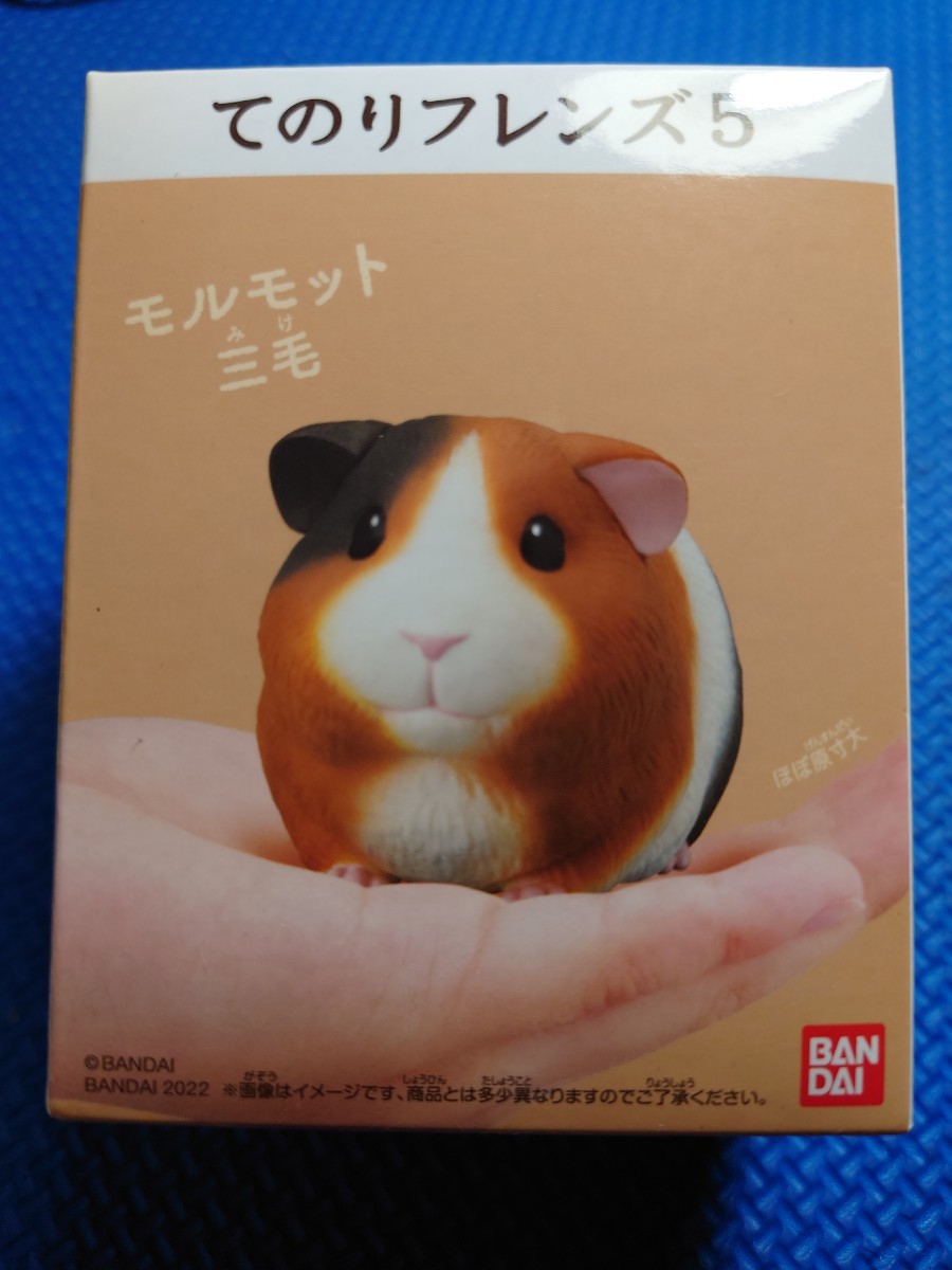 匿名配送★送料無料【 モルモット 】 10: 三毛 ★てのりフレンズ5 ★未使用新品★バンダイ★検索:11R234全1256714151617即決あり★★★★★拍卖