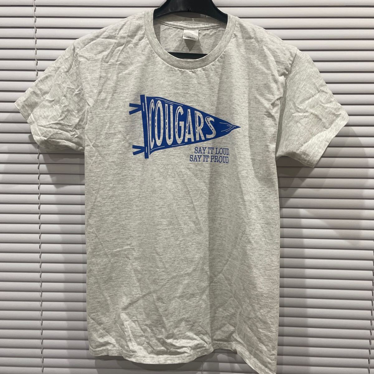 Hanes Tシャツ 霜降りヴィンテージ 拍卖