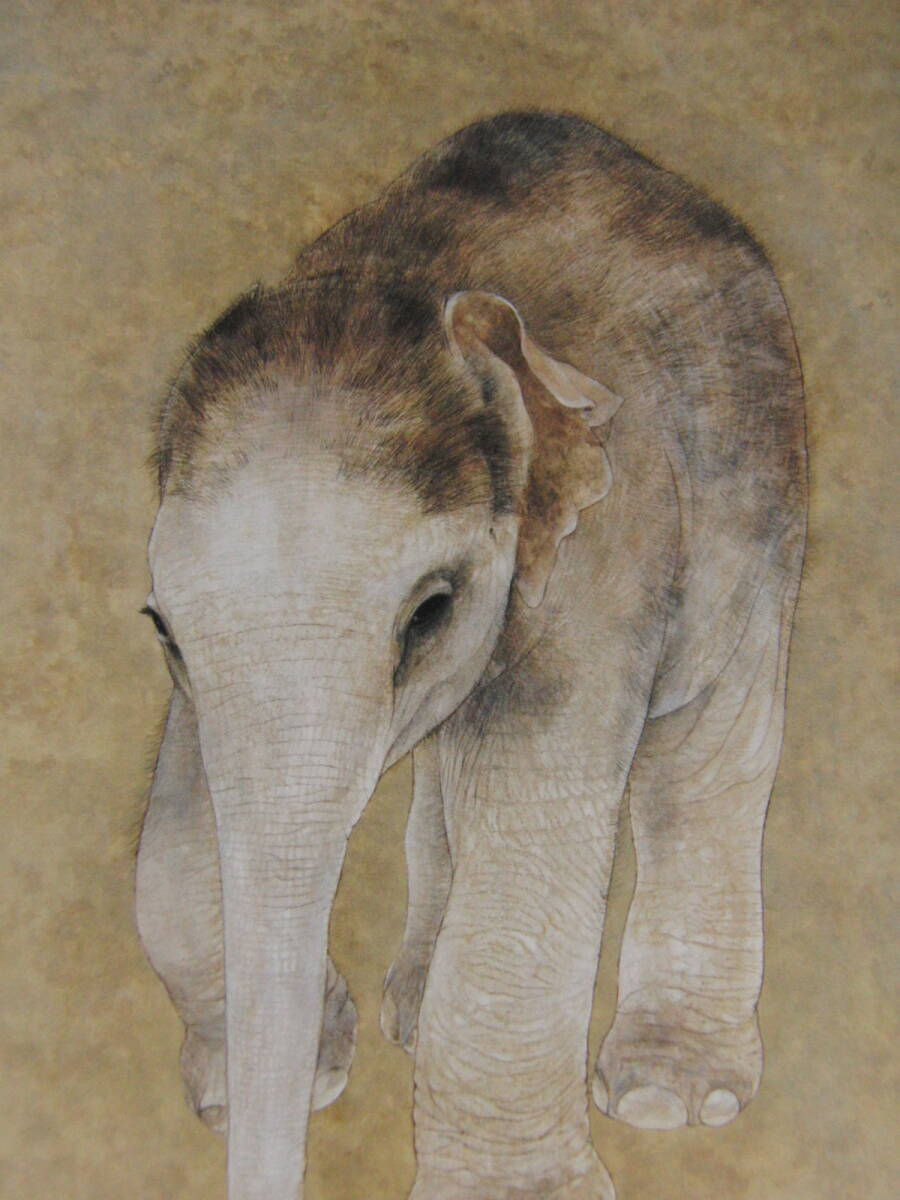 西野陽一、【子象】、希少な額装用画集より、厳選、新品額装、マット額装付、状態良好、日本人画家拍卖