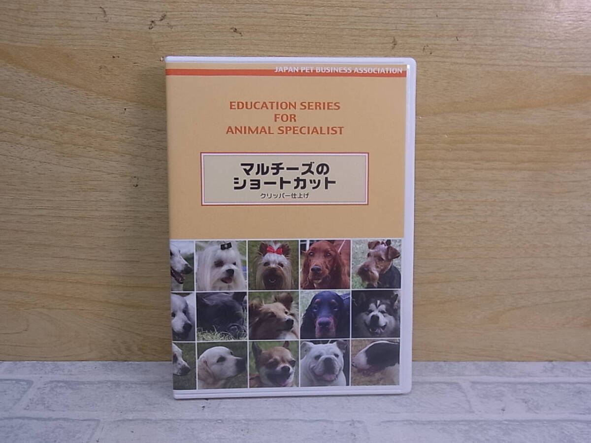 △H/210●日本ペット総合オフィスグループ☆マルチーズのショートカット(クリッパー仕上げ)☆ペット技法DVDシリーズ☆中古品拍卖