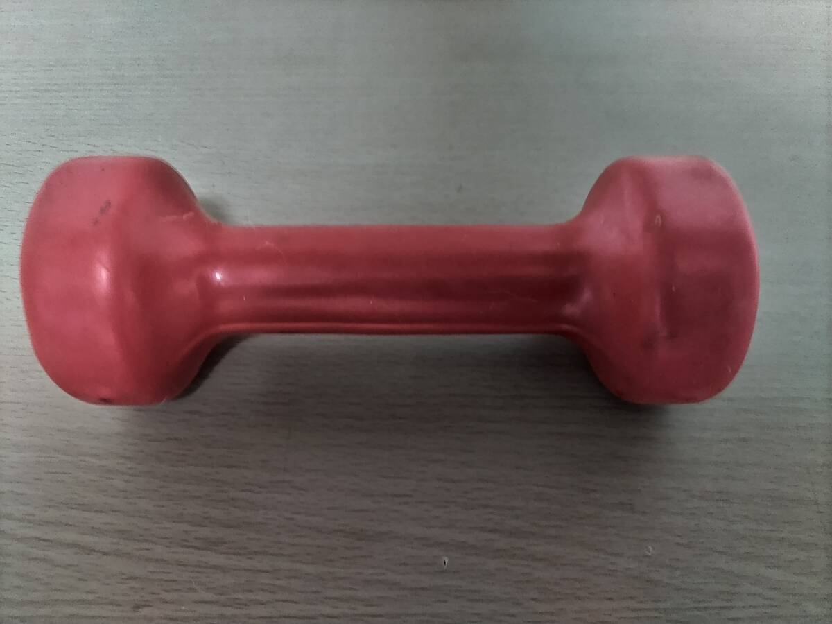 1kg ダンベル 即決200円!拍卖