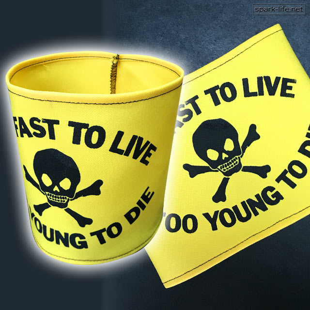 ◆British PUNK Fashion◆ロックなアクセント★ アームバンド腕章【TOO FAST TO LIVE TOO YOUNG TO DIE (YE)】送料無料拍卖