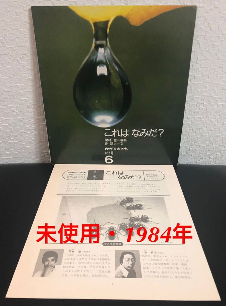 ◆当時物・未使用◆「これはなみだ」かがくのとも 折り込み付録付き 栗林彗 長新太 福音館 1984年 希少本拍卖