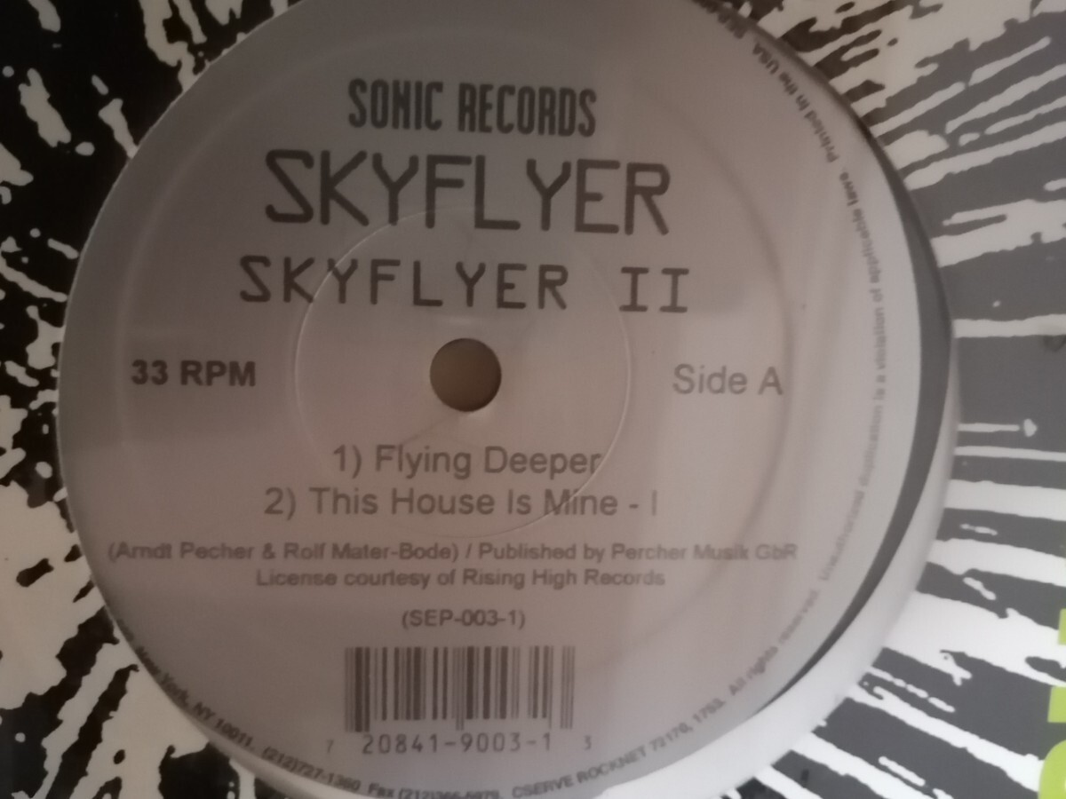 90s テクノ 12 Skyflyer Skyflyer Ⅱ flying deeper Sonic records拍卖