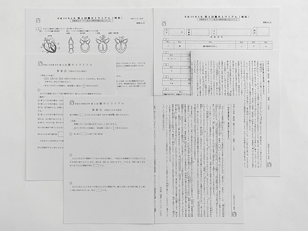 ★馬渕教室 6年 灘中トライアル 第4回 2018年8月11日・12日実施 国算理拍卖
