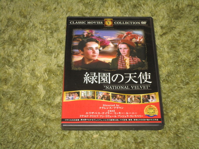 中古DVD●緑園の天使●エリザベス・テイラー&ミッキー・ルーニー拍卖