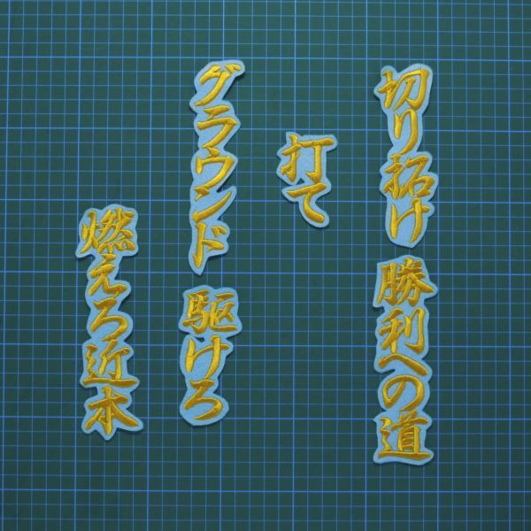 送料無料 近本 応援歌 行金/水色 刺繍 ワッペン 阪神 タイガース 応援 ユニフォームに拍卖