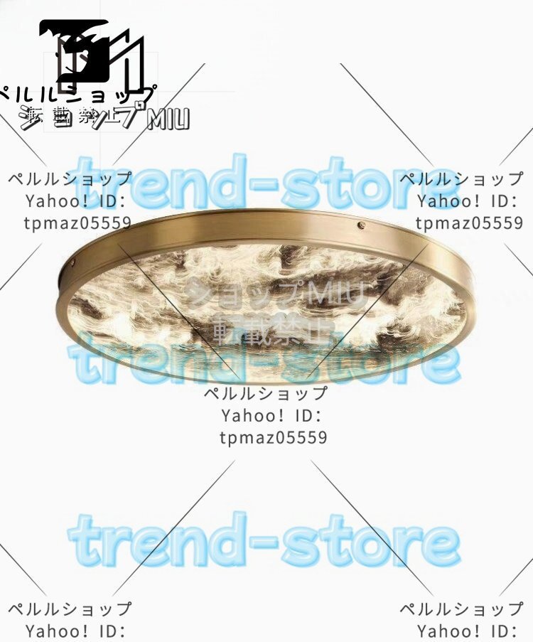 シンプル 個性的 居間 リビング 寝室 直結タイプ 天井照明拍卖