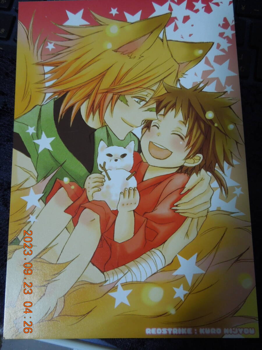 同人 戦国BASARA ポストカード / 猿飛佐助 真田幸村 / REDSTRIKE 二条クロ / イラストカード拍卖