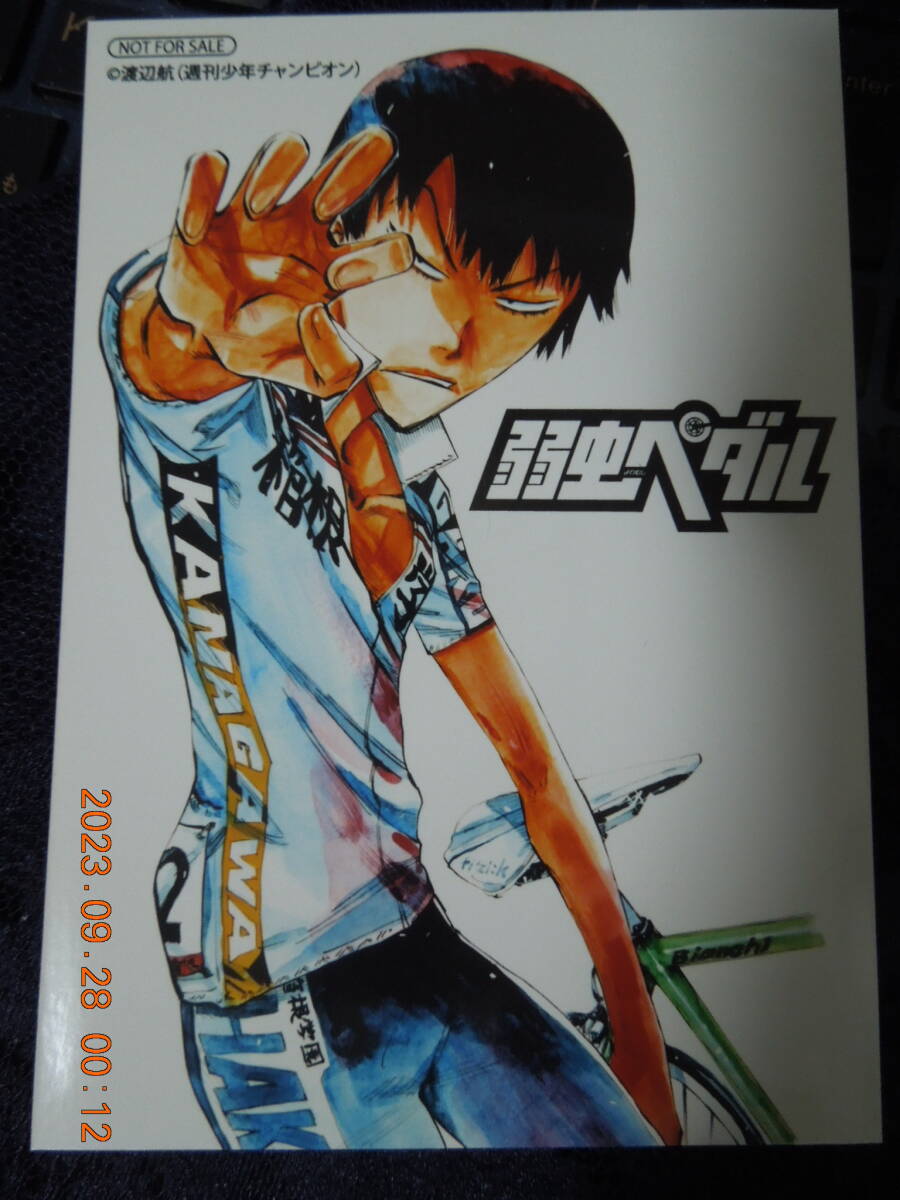 荒北靖友 特製ブロマイド /「弱虫ペダルミュージアム」 対象商品購入特典拍卖