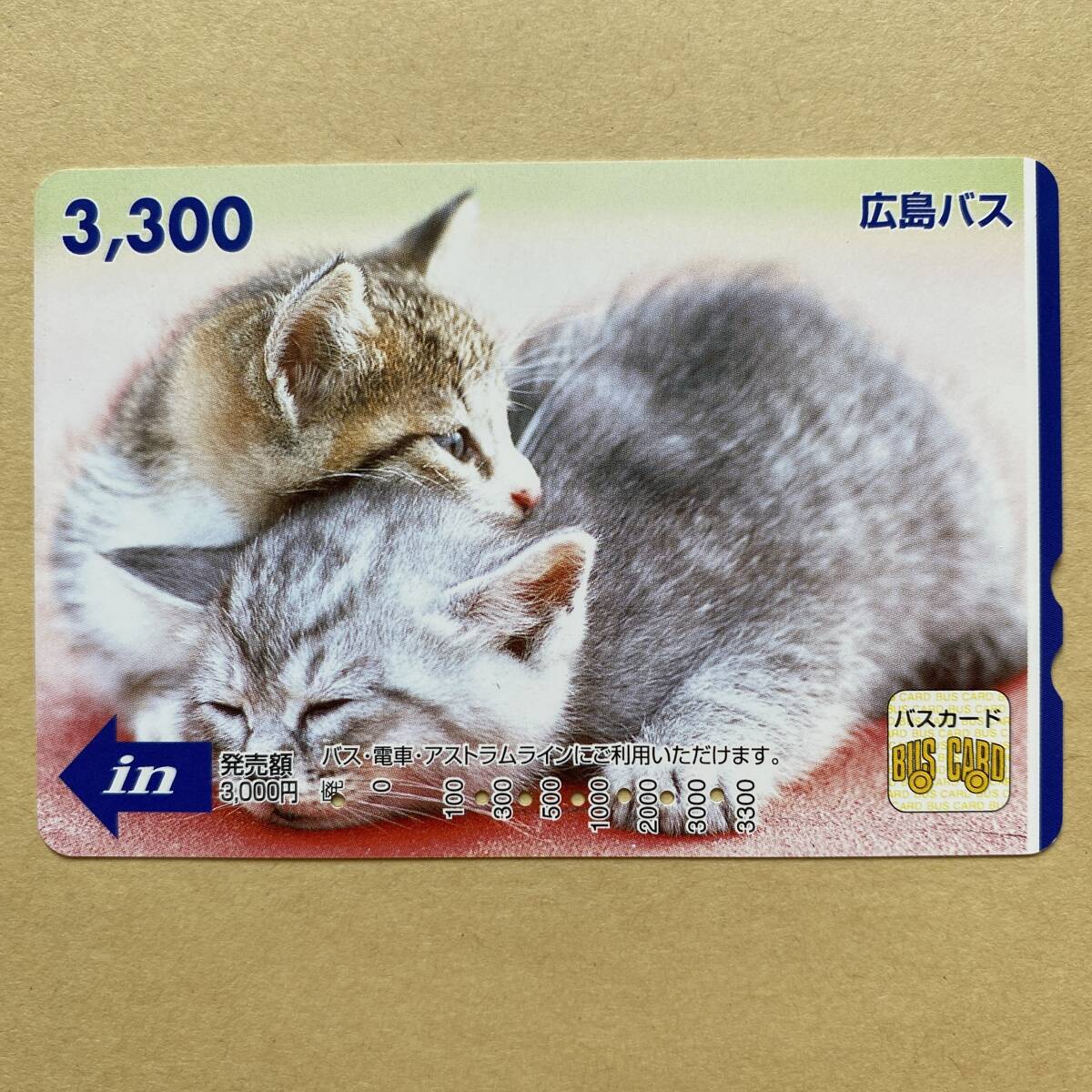 【使用済】 バスカード 広島バス 仲良しな2匹の子猫 猫拍卖