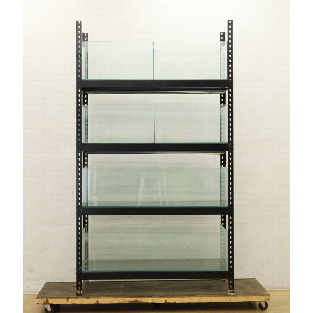 062303y4 水槽 ガラス 4基 (6槽) ラックセット 幅116x奥行45x高さ30.5cm 直接引き取り限定 名古屋市守山区 配送不可 鑑賞 飼育 実験拍卖